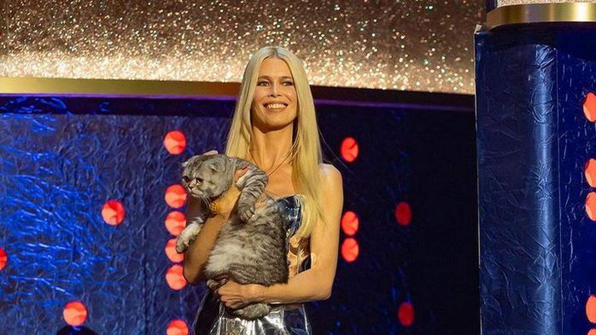 Neuer Actionheld Claudia Schiffers Katze wird bald zum neuen Star am